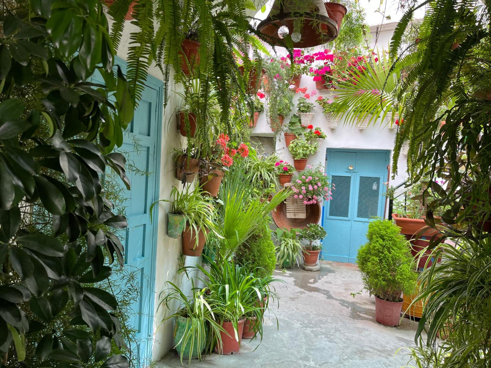 Apartamento La Muralla Vejer de la Frontera Exterior foto